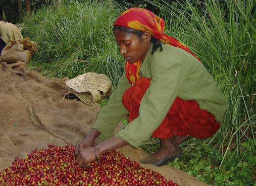 ethiopie-sidamo-blaser-2