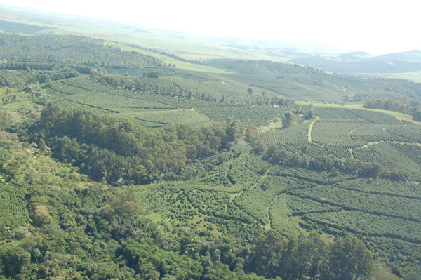 br_bj_ma panoramica01